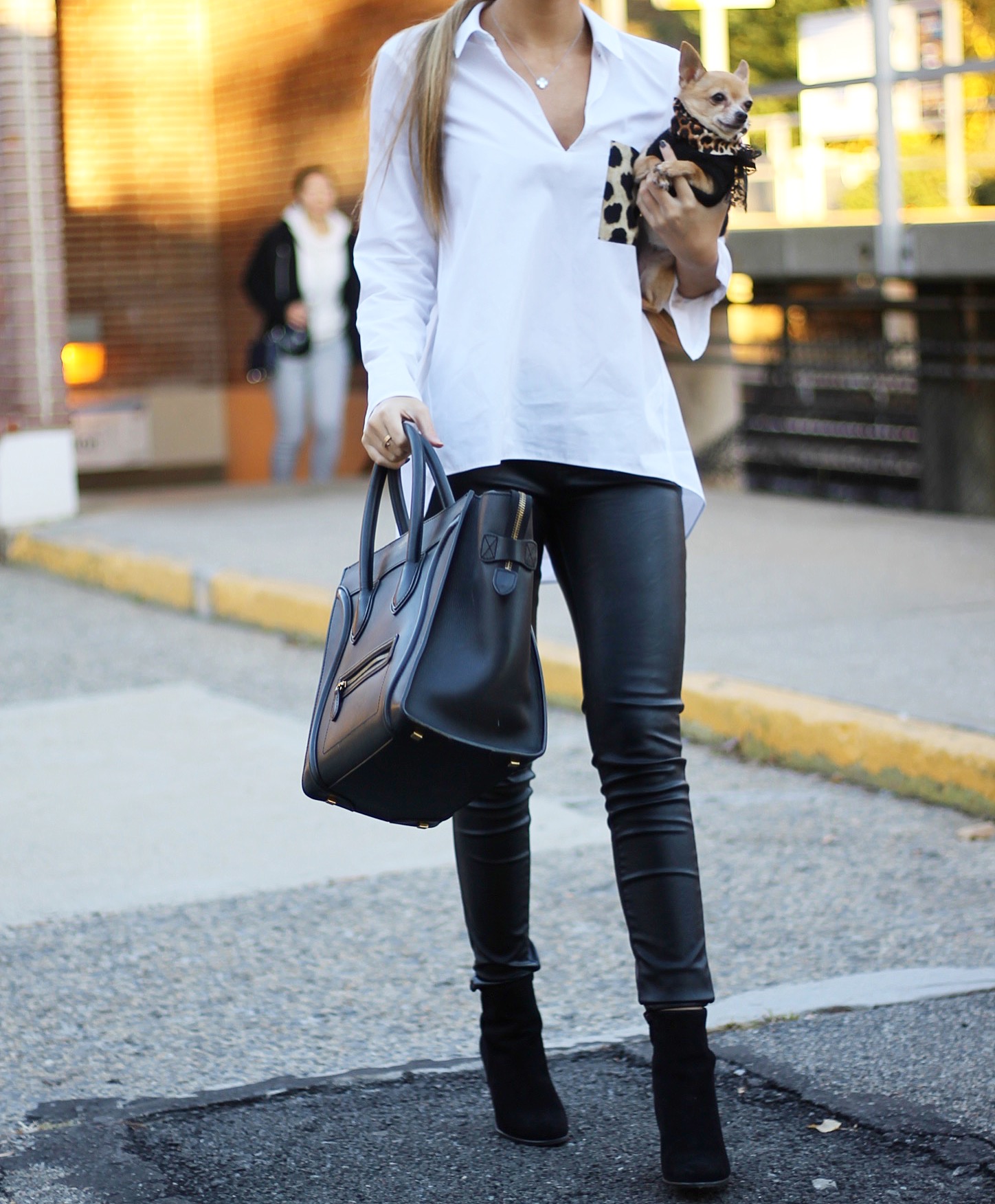 leopard & leather